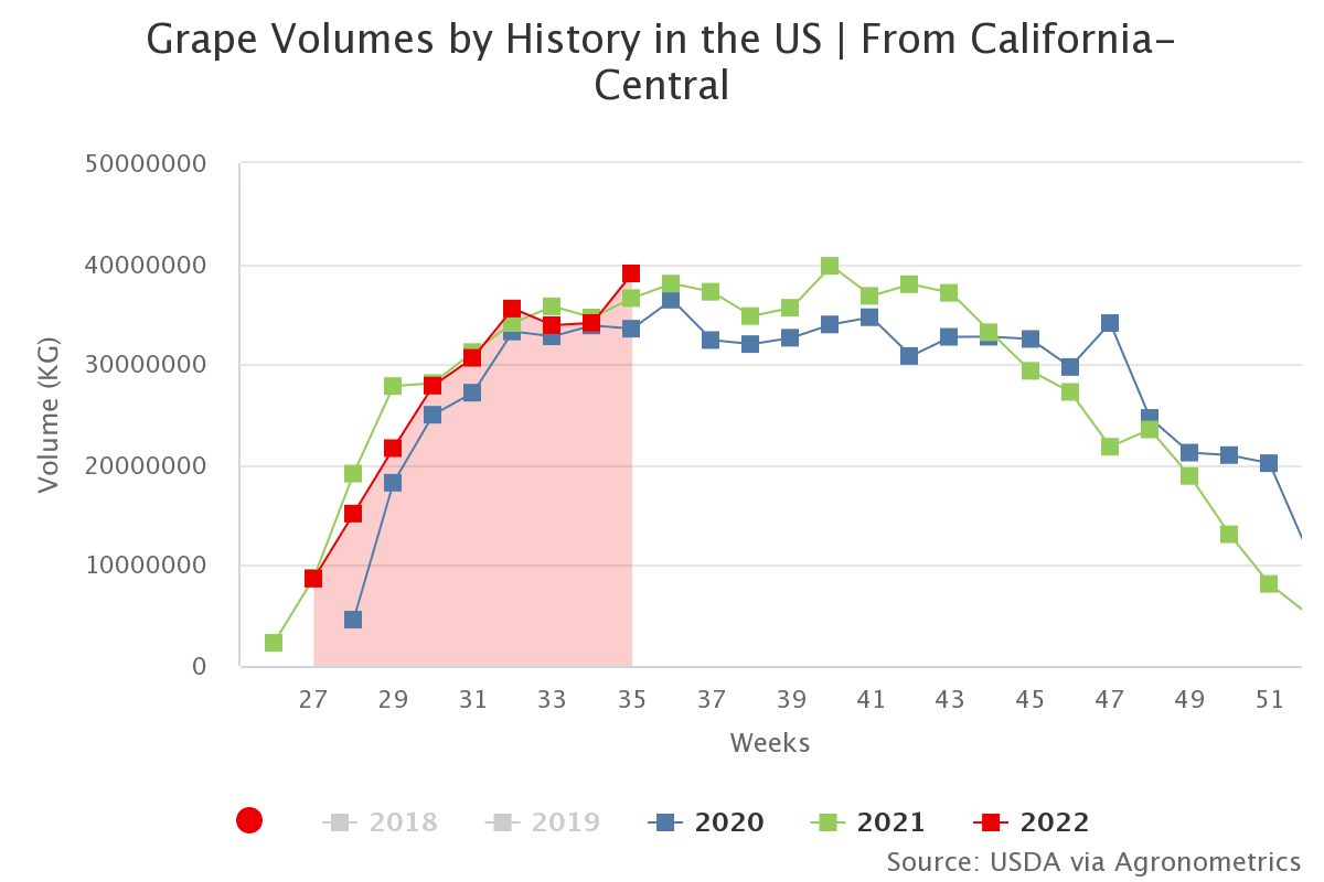 grape volumes by history 7